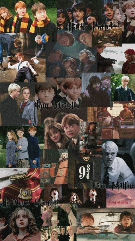 Hermione Draco, Harry Potter Ron And Hermione, Stile Harry Potter, Ron Hermione, Harry Potter Ron Weasley, Harry Potter Wall, Harry Potter Background, Welcome To Hogwarts, Blue Flower Wallpaper