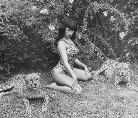 Bettie Page Irving Klaw, Pin Up Photos, Jet Black Hair, Famous Photos, Pin Up Model, Bettie Page, Vintage Couture, Up Girl, Historical Photos