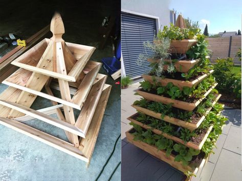 Going Vertical With Strawberry Pyramid Planters Diy Vertical Strawberry Planter, Strawberry Trellis, Strawberry Pyramid, Flower Ladder, Garden Pyramid, Pyramid Planter, Decoration Hacks, Cozy Decor Ideas, Ladder Ideas