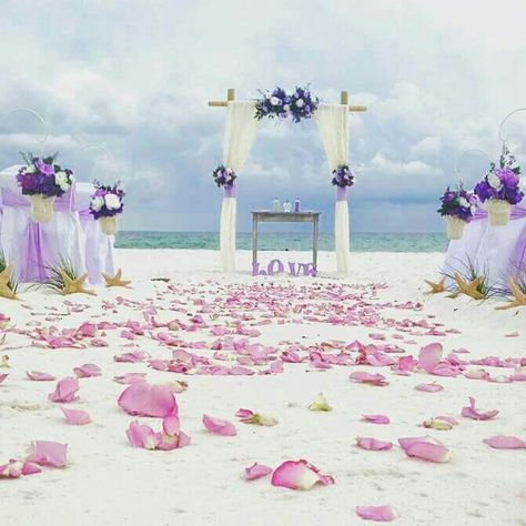 Peach Beach Wedding, Beach Wedding Colors Schemes, Beach Wedding Purple, Beach Wedding Pink, Beach Wedding Aisles, Beach Wedding Arch, Sunset Beach Weddings, Wedding In Florida, Diy Beach Wedding