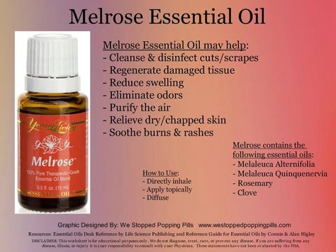 Melrose Young Living Melrose Essential Oil Young Living, Young Living Melrose, Melrose Essential Oil, Raven Essential Oil, Digize Essential Oil, Wintergreen Essential Oil, Young Living Essential Oils Recipes, Essential Oils Health, Yl Essential Oils