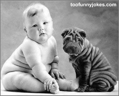 wrinkled puppy and baby Anne Geddes, Baby Twins, Chubby Babies, Fun Baby, Shar Pei, E Card, 귀여운 동물, Mans Best Friend, Cuteness Overload