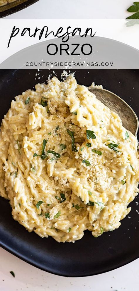 This Parmesan Orzo is creamy, cheesy and so quick, and easy to make! It makes a great side dish or top with rotisserie or grilled chicken for a main dish. If you have never tried cooking with orzo pasta you should. It cooks up extremely fast so you can have dinner on the table in a jiffy. And this parmesan orzo pasta is cheesy, creamy, and hard to stop at one bite. Parmesan Orzo Pasta, Creamy Parmesan Orzo, Creamy Orzo Recipes, Orzo Recipes Side, Joyous Apron, Parmesan Orzo, Creamy Orzo, Parmesan Crusted Pork Chops, Recipes Using Ground Beef