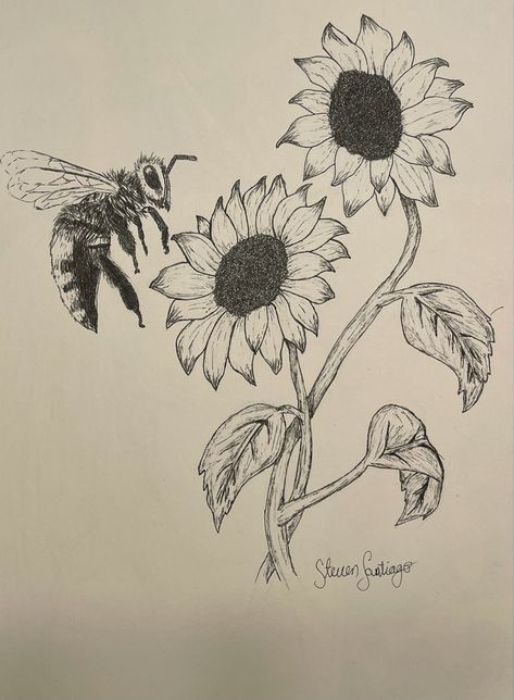 Bee
Sunflower
Daily sketch
Sketch
Flower sketch 
Daily challenge Flowers With Bees Drawing, Sunflower With Bee Drawing, Sunflower Pen Drawing, Bee On A Flower Drawing, Honey Combs Drawing, Sunflower Sketch Pencil, Sunflower Aesthetic Drawing, Sunflower Drawing Pencil, Sunflower Drawing Tattoo