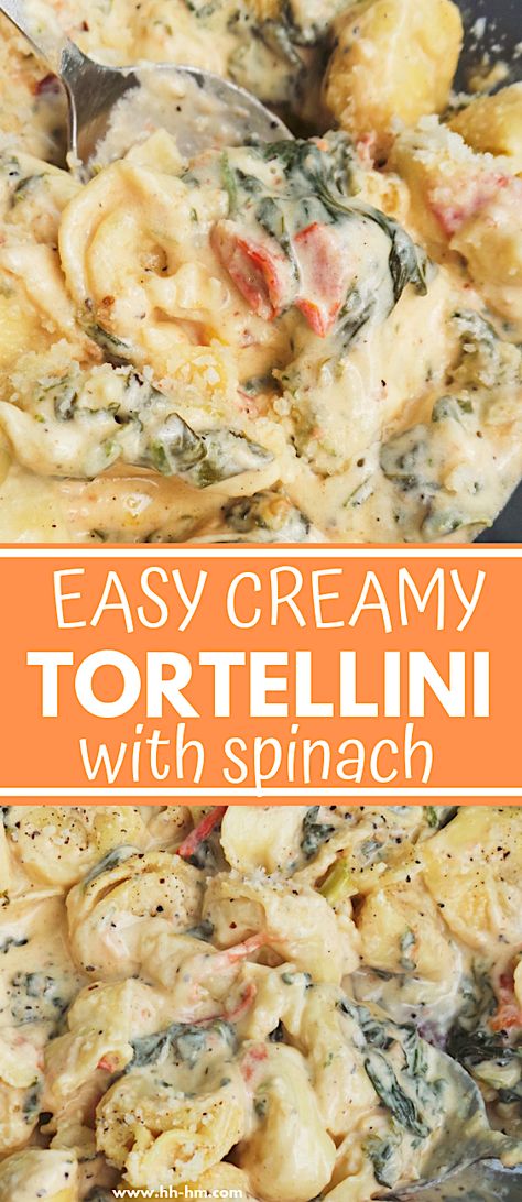 Easy creamy tortellini recipe - super delicious! This tortellini recipe is one of the best dinners I've ever had - creamy, satisfying and I only needed 30 minutes and a pan to make it! Creamy Tortellini With Spinach, Tortellini With Spinach, Cheese Tortellini Recipes, Tortellini Alfredo, Tortellini Recipe, Creamy Tortellini, Spinach Tortellini, Tortellini Bake, Pasta Cremosa