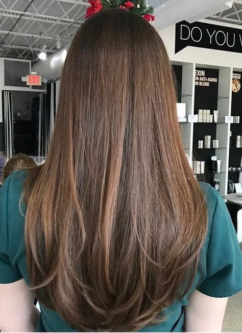 Subtle Layers With Curtain Bangs, Long Layers Brunette Straight, Haircuts Layers Straight Hair, Noticeable Layers Hair, Hair Medium Long Length, Long Straight Hair Long Layers, Long Haircuts Without Layers, Haircuts For Medium Hair No Layers, No Layered Haircut