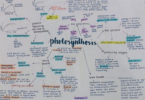 Photosynthesis Mind Map, Aqa Physics Gcse, Mind Map Biology Class 11, Mind Map Revision, Gcse Aqa Biology Revision Notes, A Level Biology Notes Aqa, Biology Photosynthesis Notes, Neet Biology Mind Maps, Mind Mapping Biologi