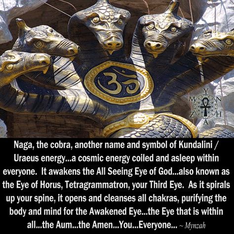 All Seeing Eye Meaning, Eye Of Horus Meaning, All Seeing Eye Of God, The All Seeing Eye, Kemetic Spirituality, Eye Of God, The Eye Of Horus, Indian History Facts, India Facts