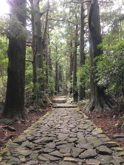 Japanese Walkway, Kumano Kodo, Dark Alley, Building Garden, Step Stones, Inner Witch, Garden Aesthetic, Match 3, Fall Travel