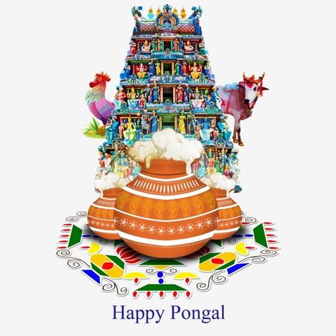 Pongal Background, Pongal Festival Images, Pongal Greetings, Pongal Greeting Cards, Sankranthi Wishes, Sankranthi Festival, Pongal Images, Happy Pongal Wishes, Pongal Wishes