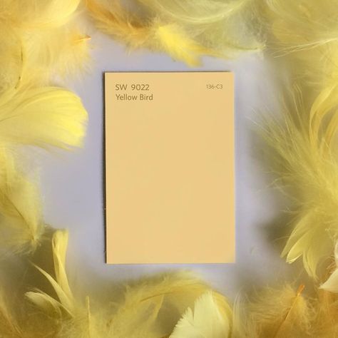 Yellow Bird SW 9022 - Yellow Paint Color - Sherwin-Williams Sherwin Williams Yellow, Yellow Paint Color, Farmhouse Paint Colors Interior, Yellow Painted Walls, Yellow Front Doors, Yellow Paint Colors, Farmhouse Paint Colors, Yellow Nursery, Paint Color Inspiration