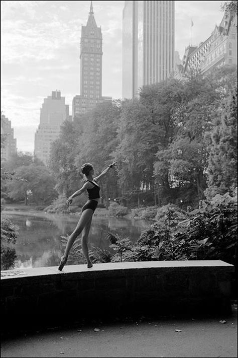 Ballerina Project, Dance Like No One Is Watching, Ballet Photos, Ballet Photography, Ballet Beautiful, Dance Photos, Foto Art, Dance Life, Dance Art