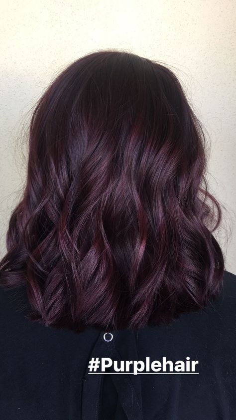 Pelo Color Borgoña, Pelo Color Vino, Dark Purple Hair Color, Purple Hair Color, Hair Color Plum, Dark Purple Hair, Plum Hair, Long Haircuts, Hair Color Burgundy