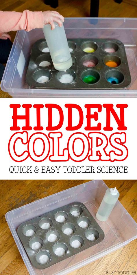 Hidden Colors – Toddler Science Experiment: Check out this cool twist on an old classic. Toddlers will love this fun indoor science activity! Toddler Science, Vetenskapliga Experiment, Science Experiments Kids Preschool, Toddler Science Experiments, Science For Toddlers, Science Week, Science Experiments For Preschoolers, Easy Toddler Activities, Hidden Colors