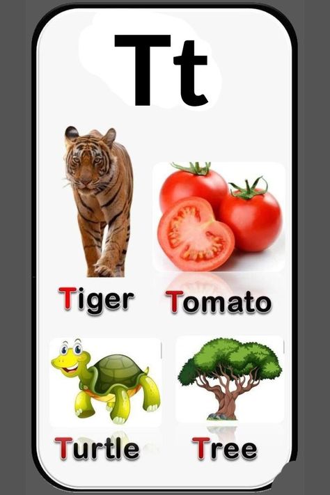 Thing Words Start With T For Preschool Letter T Pictures, T Letter Images, Q Words For Kids, Dayhome Activities, Letter T Words, Alphabet Word Wall Cards, T Words, T Alphabet, Alphabet Word Wall