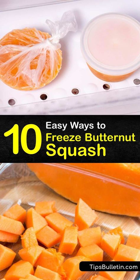 Freeze Butternut Squash How To, Freezing Acorn Squash, Freezing Winter Squash, Preserve Butternut Squash, Butternut Squash Freezing, Can You Freeze Butternut Squash, How To Freeze Butternut Squash Cubes, Freezing Butternut Squash Cubes, Butternut Squash Preserving