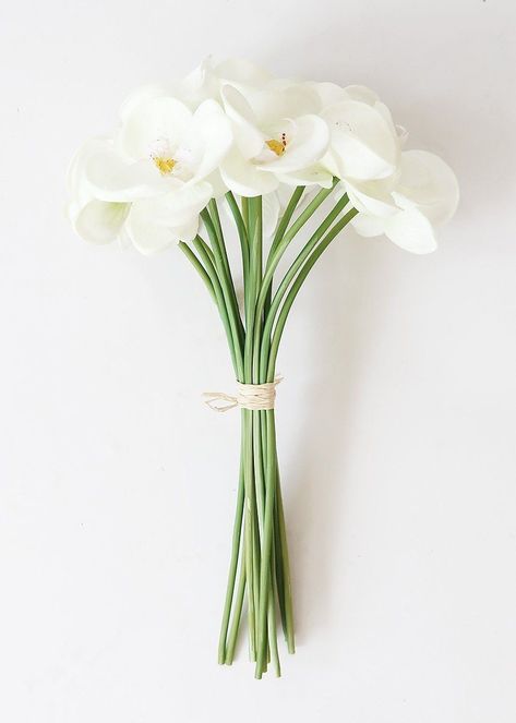 Phalaenopsis Orchid Bouquet, Bouquet Orchid, Diy Destination Wedding, Tropical Bridal Bouquet, Orchid Phalaenopsis, Church Wedding Flowers, Wedding Flower Guide, Fresh Wedding Flowers, Orchid Bouquet