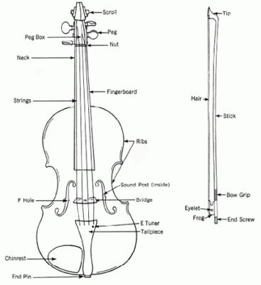 Violin and Bow Diagram Violin Worksheets, Violin Teaching, Violin Parts, Learn Violin, Violin Lessons, Music Jokes, Violin Bow, Music Motivation, The Violin