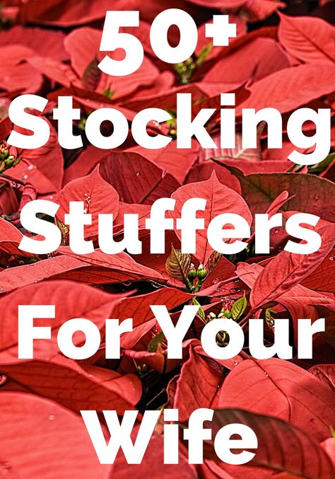 Find the best stocking stuffers for your wife today. She will love to see these awesome gifts in her stocking. Surprise her with your ideas! Stocking Stuffers For Wife, Pretzel Dogs, Stocking Stuffers For Her, Unique Stocking Stuffers, Life Matters, Stocking Stuffers For Men, Wife Christmas, Romantic Gifts For Her, Christmas Gifts For Wife