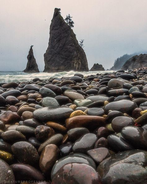 Rialto Beach Washington, Rialto Beach, Rock Beach, Photography Genres, Photography Kit, Scene Image, Washington Usa, Types Of Photography, Photo Story