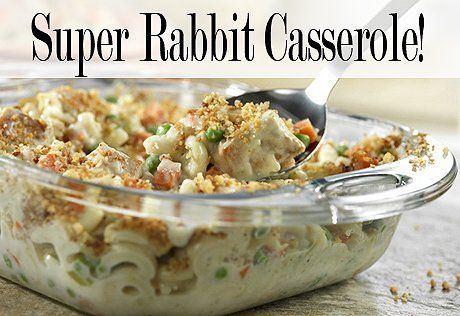 Rabbit Casserole Recipe, Easy Chicken Stroganoff Recipe, Rabbit Recipe, Rabbit Recipes, Stuffed Rabbit, Chicken Stroganoff, Crock Pot Recipe, Stuffing Casserole, Rice Recipes For Dinner