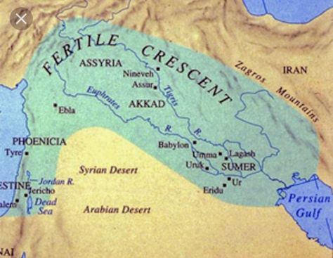 Fertile crescent Bible Genealogy, Homeschool Social Studies, Ancient Mesopotamia, 6th Grade Ela, Social Studies Activities, Two Rivers, Story Of The World, River Valley, Mesopotamia