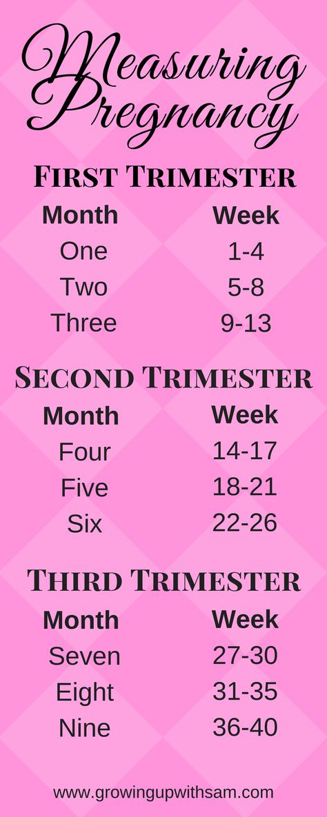 Pregnant Tips First Trimester, 2 Trimester Pregnancy, Pregnancy Step By Step, Pregnancy Trimester Chart, Pregnancy Journal Ideas, Pregnancy Tips First Trimester, Trimester Chart, First Trimester Pregnancy Tips, First Time Pregnancy Tips