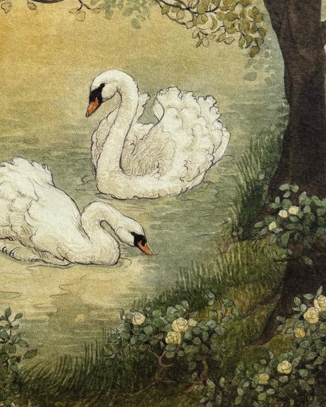 The sun came out and now I think everything’s going to be okay! If you know what I mean, you knowww… ~ Swans Vignette ~ for February, for… | Instagram Swan Paintings, Swan Painting, M Tattoos, Swans Art, Baby Illustration, Be Okay, Old Paintings, Swan Lake, Swans