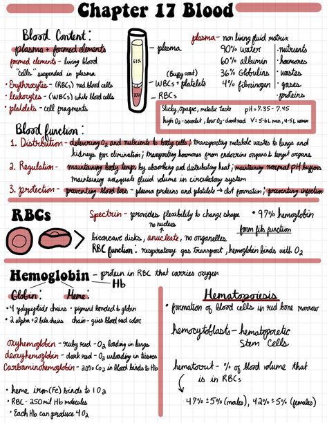 General Anatomy And Physiology, Heart Anatomy Notes Aesthetic, Anatomy Terminology Notes, Anatomy And Physiology 2 Study Tips, Anatomy And Physiology Study Guide, Cma Study Notes, Ways To Study Anatomy And Physiology, Anatomy And Physiology Notes Study Cell, Nursing Notes Anatomy And Physiology