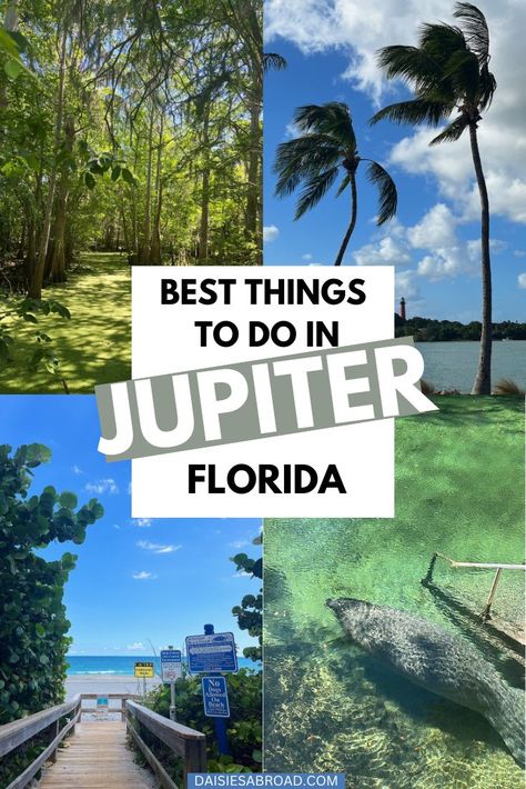 A COMPLETE TRAVEL GUIDE TO JUPITER, FLORIDA Things To Do In Florida, Florida Attractions, Clearwater Beach Florida, Florida Travel Guide, Florida Adventures, Florida Destinations, Places In Florida, Clearwater Florida, Visit Florida