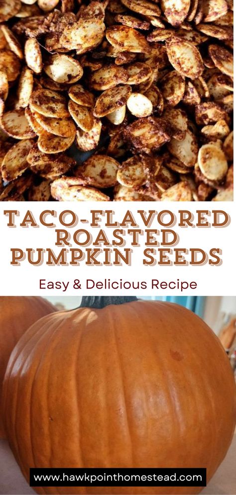 One of my favorite things about pumpkin carving and Fall is roasting the pumpkin seeds.

Enjoy these delicious crunchy pumpkin seeds with the wonderful taco flavor. Pumpkin seeds are a healthy and satisfying snack that are so easy to make!

Making pumpkin seeds is a fun activity to do with kids! Especially trying different flavors. Plus you can put those pumpkin seeds left over after carving your fall pumpkins to great use! Oven Roasted Pumpkin Seeds, Best Pumpkin Seed Recipe, Easy Pumpkin Seeds, Pumpkin Seed Recipes Roasted, Roasted Pumpkin Seeds Recipe, Perfect Pumpkin Seeds, Roasted Squash Seeds, Homemade Pumpkin Seeds, Butternut Squash Seeds