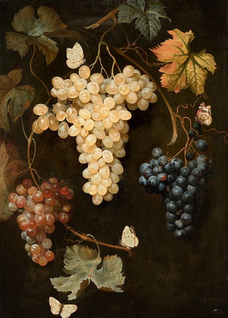 ‘Grapes and Butterflies’ (before 1747) by Philipp Ferdinand de Hamilton Juman Malouf, Hamilton Painting, Art Du Vin, Grape Painting, Dutch Still Life, Kunsthistorisches Museum, Fruit Painting, Grape Bunch, National Gallery Of Art