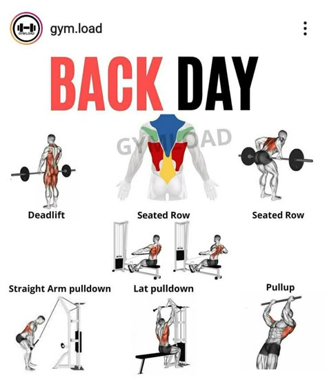 Back Destroyer Workout Men, Men Upper Body Workout, Back Workout Program, Back Workout For Mass, Back Workout Men, Upper Body Workout Routine, Chest And Tricep Workout, Gym Back Workout, Body Workout Routine