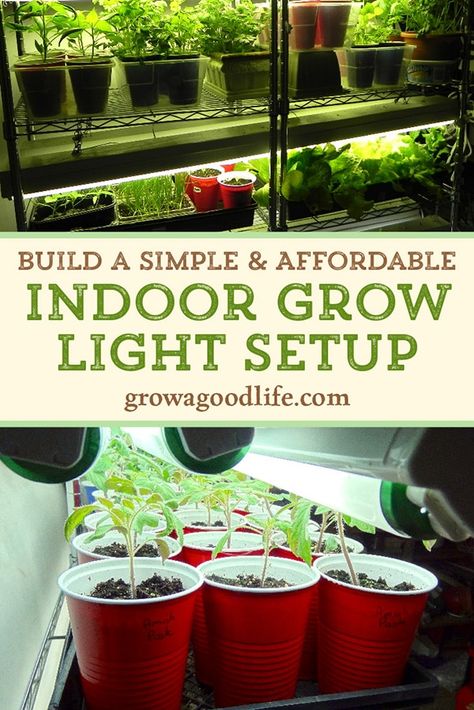 This DIY indoor grow light unit is a simple and affordable setup that is perfect for starting seeds for your vegetable garden, growing vegetables indoors, and providing light for your indoor herb garden. Learn how to put together this affordable DIY grow light shelf using items that are easy to find. Indoor Vegetable Garden Grow Light, Inexpensive Grow Lights, Best Grow Lights Indoor Gardening, Garden Seed Starting Indoor, Indoor Garden With Grow Lights, Growing Lights For Plants, Grow Lights For Seed Starting, Indoor Garden Ideas Houses, Indoor Seed Starting Setup