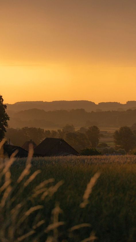 Pretty Fields, Fields Aesthetic, Aesthetic Field, Field Aesthetic, Hippie Garden, Country Field, Nostalgic Aesthetic, Field Wallpaper, Farm Field