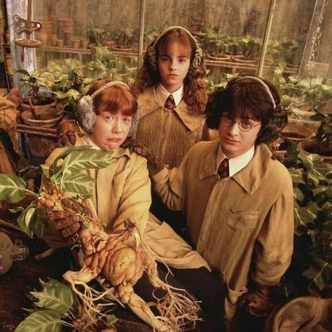 Harry Potter Twin Sister, Film Harry Potter, Harry Potter Ron And Hermione, Ron And Harry, Harry And Hermione, Ronald Weasley, Harry Potter Ron, Harry Potter Icons, Buku Harry Potter