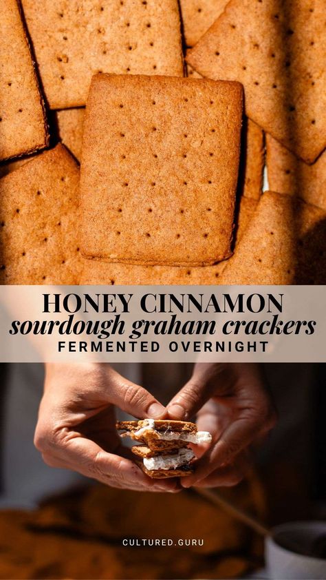 These honey cinnamon sourdough graham crackers are fermented overnight for easier digestion and the best flavor. You can use sourdough discard or an active starter. Kids love these perfectly crispy, wholesome, and delicious cinnamon graham crackers! #sourdough #grahamcrackers #crackers Einkorn Graham Crackers, Homemade Sourdough Starter, Einkorn Sourdough Discard Recipes, Sourdough Graham Crackers, Cinnamon Sourdough, Use Sourdough Discard, Cinnamon Graham Crackers, Einkorn Sourdough, Sourdough Starters