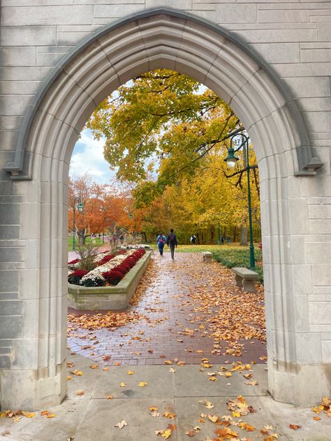 Indiana Bloomington University, Iu Bloomington Aesthetic, Indiana University Aesthetic, Iu Bloomington, Widget Photos, Manifesting Journal, Life Plans, College Vision Board, Indiana University Bloomington