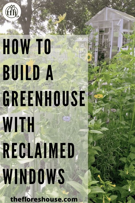 How to build a garden shed greenhouse with reclaimed windows and other materials! If you’re interested in building your own greenhouse but aren’t sure where to start, look no further than this guide on how to build the perfect DIY greenhouse with old windows and other recycled materials! #gardening #gardenprojects #gardendiy #upcycle #greenhouse Build Greenhouse From Old Windows, How To Frame A Greenhouse, Build A Greenhouse With Old Windows, Greenhouse Made From Old Windows Diy, Greenhouses Made Out Of Old Windows, Simple Greenhouse Ideas, Reclaimed Windows Greenhouse, Small Greenhouse Diy Old Windows, Greenhouse Window Ideas