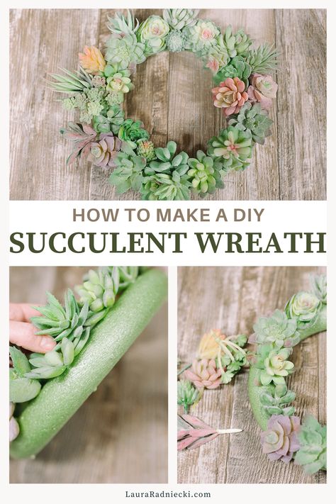 Learn how to make a succulent wreath using faux succulent plants and a styrofoam wreath form in this easy craft tutorial! 3d Wreath Form Ideas, Styrofoam Wreath Ideas, Faux Succulent Wreath Diy, Succulents Wreath, Succulent Crafts, Faux Succulent Wreath, Succulent Wreath Diy, Crafts 2024, Felt Succulents