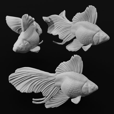 Goldfish Sculpture, Fish Statue, Fish Fin, Fancy Goldfish, Fish Model, Fish Tales, Face Jewellery, Patio Wall, Ceramic Fish