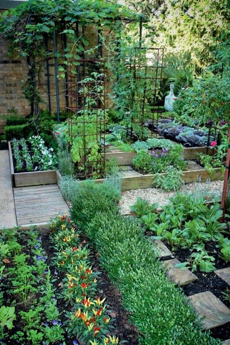 potager Potager Garden, Veg Garden, Vegetable Garden Design, Plants And Flowers, Garden Structures, Veggie Garden, Edible Garden, Kitchen Garden, Garden Spaces