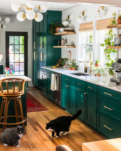 Fall Home Tour, House Aesthetic, Green Cabinets, Two Cats, Late Fall, Kitchen Inspiration Design, Fall Home, Green Kitchen, Something Different