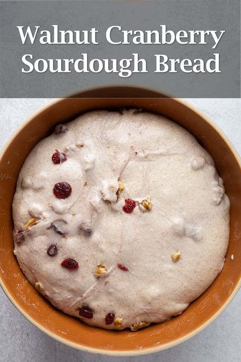 Walnut Cranberry Sourdough Bread, Recipes With Sourdough Bread Dinners, Cranberry Walnut Sourdough Bread Recipe, Oval Sourdough Bread, Sourdough Levain Recipes, Sesame Sourdough Bread, Flavoured Sourdough Bread, Cranberry Walnut Sourdough Bread, Sourdough Bread Discard Recipes