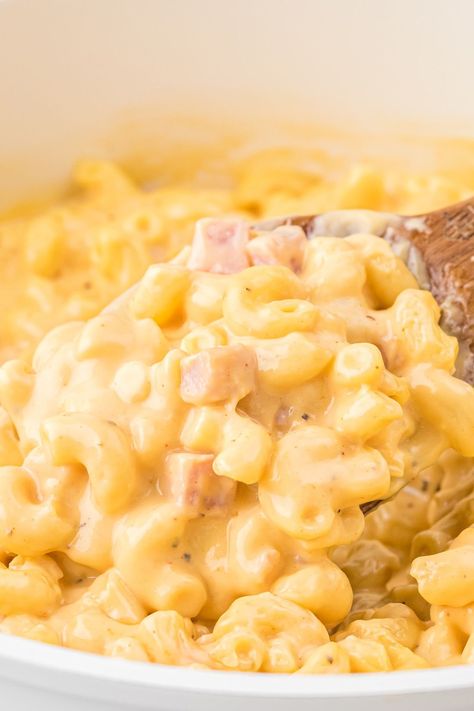 Creamy Mac And Cheese With Ham, Mac N Cheese With Ham, Mac And Cheese With Ham, Creamy Mac N Cheese, Ham Mac And Cheese, Recipe Stand, Kraft Mac N Cheese, Easy Mac And Cheese, Creamy Macaroni And Cheese