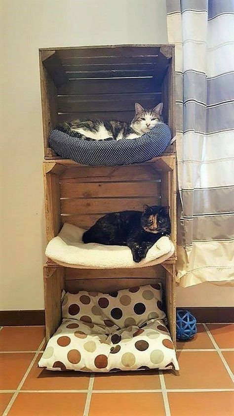 Crate Cat Community........... Katt Diy, Katt Grejer, Chat Diy, Wood Pallet Recycling, Diy Cat Tree, Söpö Kissa, Cat House Diy, Diy Casa, Cat Furniture Diy