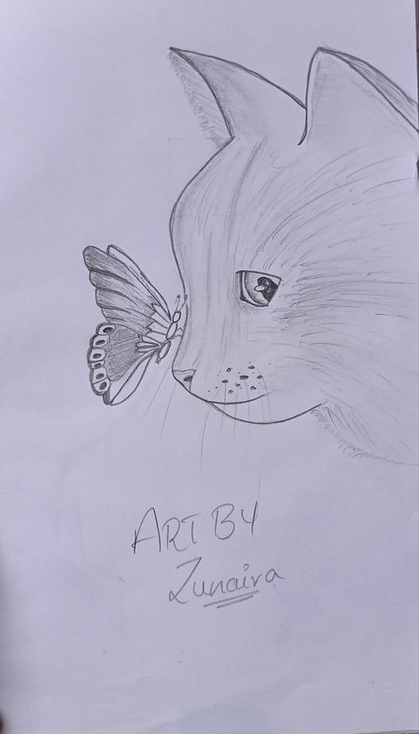 Cat With Butterfly On Nose Drawing, Cat And Butterfly Drawing, Butterfly On Nose Drawing, Cat With Butterfly On Nose, Butterfly Drawing Simple, A Butterfly Drawing, Butterfly On Nose, Easy Cat Drawing, Cat With Butterfly