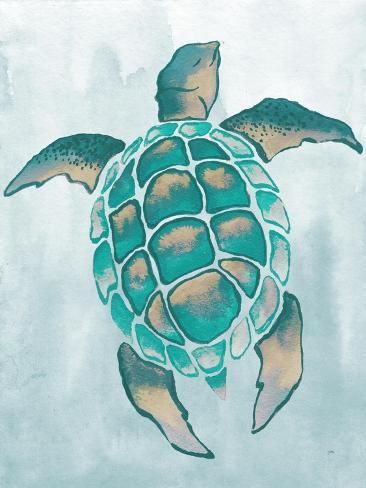 size: 12x9in Art Print: Aquatic Turtle II by Elizabeth Medley : Sea Turtle Artwork, Seahorse Wall Art, Embroidery Animals, Turtle Images, Fishing Art, Sea Turtle Art, Turtle Drawing, Sea Life Art, Animal Illustration Art