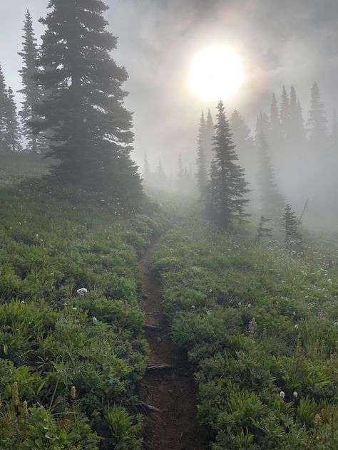 The Cascades, Morning Fog, Foggy Morning, Blue Lake, In The Woods, Trees, Lake, Blue, Nature