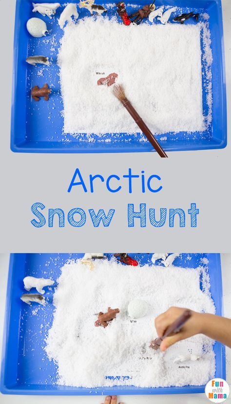 Printable Safari Ltd Toob toys fun snow hunt activity for kids. Your child will explore arctic animals with a sensory bin and work on fine motor skills. via @funwithmama Polar Animals Preschool, Arctic Animals Activities, Arctic Animals Preschool, Arctic Animals Crafts, Winter Animal Crafts, School Diy Ideas, Winter Crafts Preschool, Animal Lessons, Winter Activities Preschool